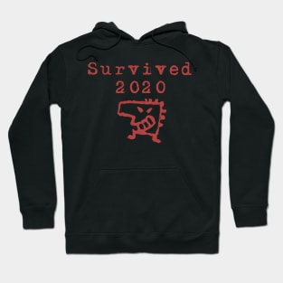 Survivor of the Corona virus 2020 t-shirt Hoodie